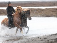 Baðtúr 2008