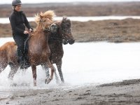 Baðtúr 2008