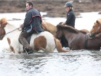 Baðtúr 2008