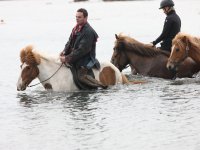 Baðtúr 2008