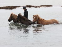 Baðtúr 2008