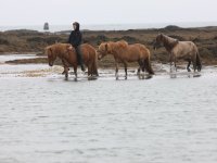 Baðtúr 2008