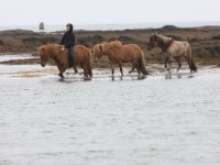 Baðtúr 2008