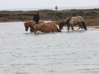 Baðtúr 2008