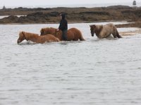 Baðtúr 2008