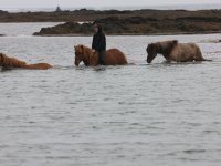 Baðtúr 2008