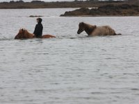 Baðtúr 2008