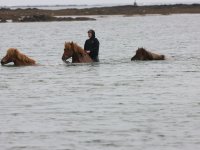 Baðtúr 2008