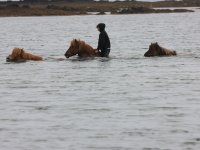 Baðtúr 2008