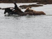 Baðtúr 2008