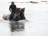 Baðtúr 2008