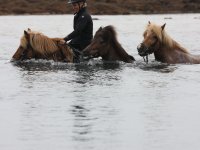 Baðtúr 2008