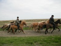 Baðtúr 2008