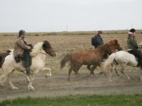 Baðtúr 2008