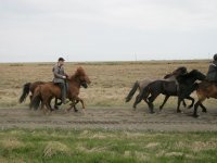 Baðtúr 2008