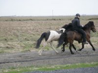 Baðtúr 2008