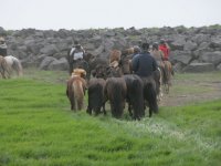 Baðtúr 2008