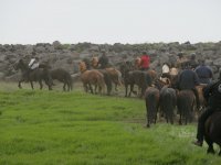 Baðtúr 2008