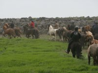 Baðtúr 2008