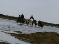 Baðtúr 2008