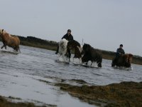 Baðtúr 2008