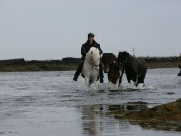 Baðtúr 2008