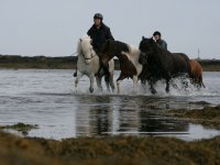 Baðtúr 2008