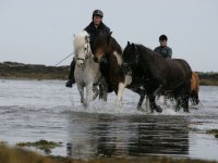 Baðtúr 2008