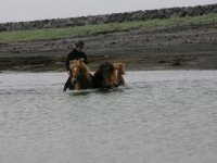 Baðtúr 2008