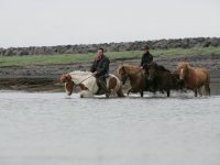 Baðtúr 2008