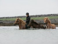 Baðtúr 2008