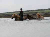 Baðtúr 2008