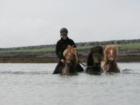 Baðtúr 2008