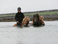 Baðtúr 2008