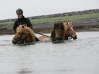 Baðtúr 2008