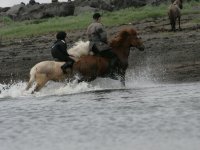 Baðtúr 2008