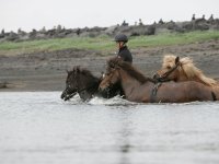 Baðtúr 2008