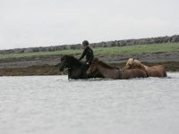 Baðtúr 2008