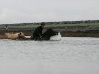 Baðtúr 2008