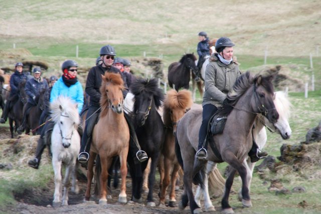 Sumarferð Sleipnis 2015