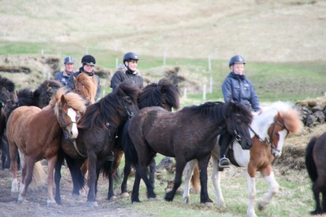 Sumarferð Sleipnis 2015