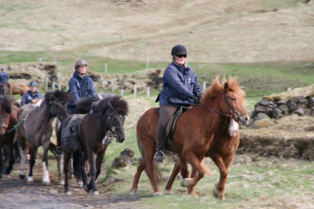 Sumarferð Sleipnis 2015