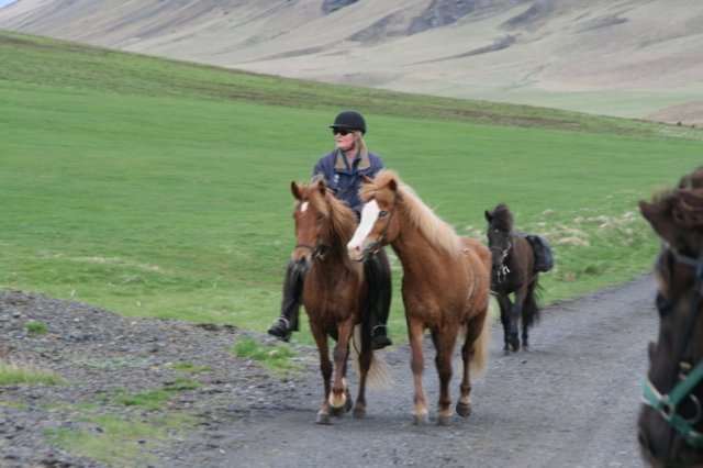 Sumarferð Sleipnis 2015