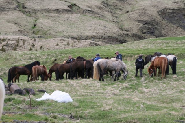 Sumarferð Sleipnis 2015