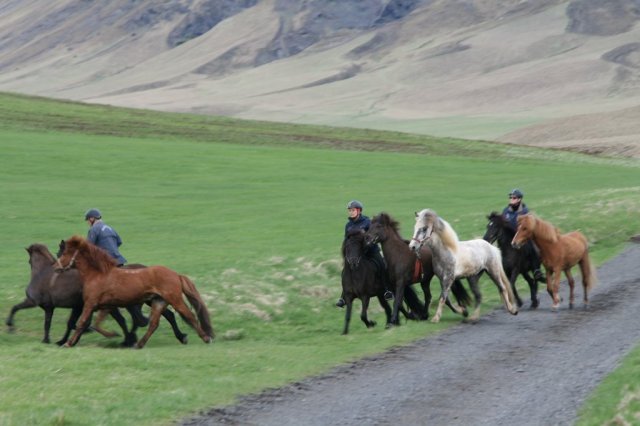 Sumarferð Sleipnis 2015