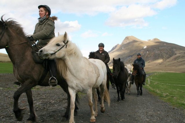 Sumarferð Sleipnis 2015