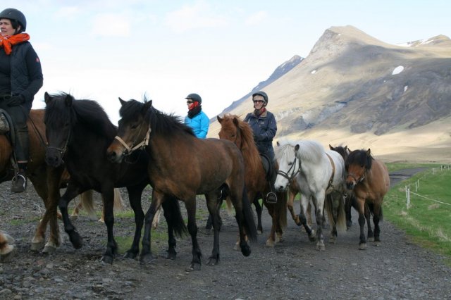 Sumarferð Sleipnis 2015