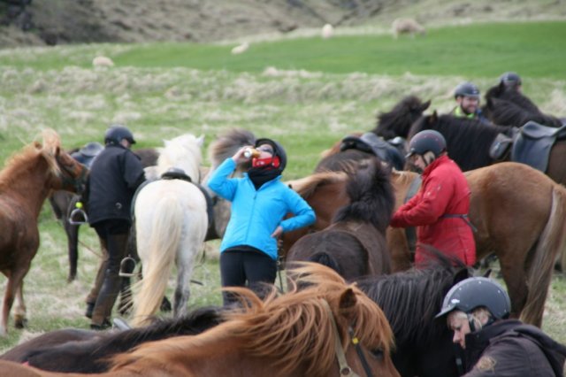 Sumarferð Sleipnis 2015