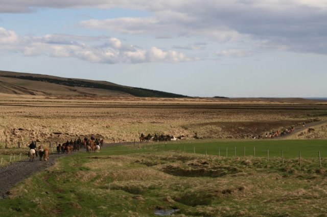 Sumarferð Sleipnis 2015