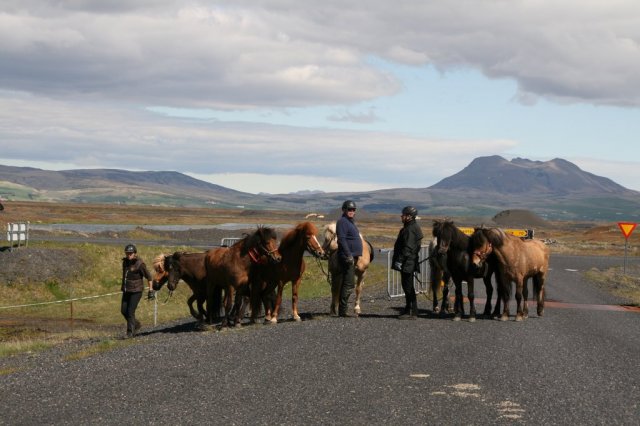 Sumarferð Sleipnis 2015